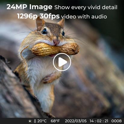 How To Use A Digital Trail Camera ?