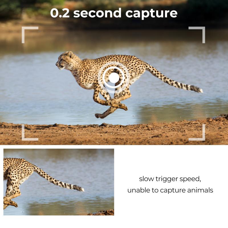 Optische Schärfe und Bildqualität von Objektiven