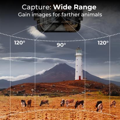 How To Attach Camera To Tripod Head ?