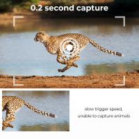 Wie Funktioniert Eine Wildkamera Mit Wlan ?