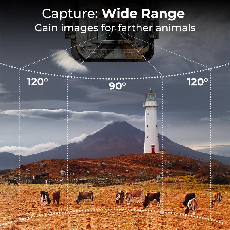 Sandstrom Camera Cases: Features and Design