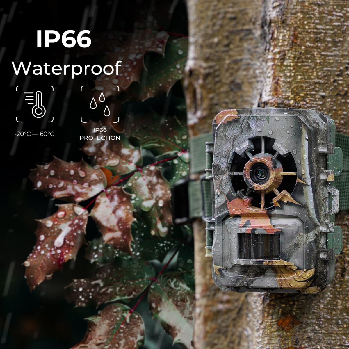 Cámara de Caza 1296P 24MP 0,2s Disparo Impermeable IP66 - Color de