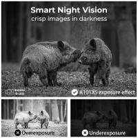 How To Improve My Night Vision ?
