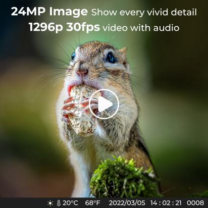 Which Time Lapse Camera To Buy ?