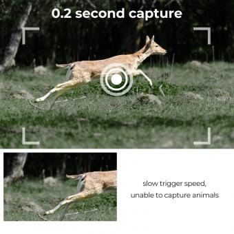 Was Kostet Eine Rehkitzrettung ?