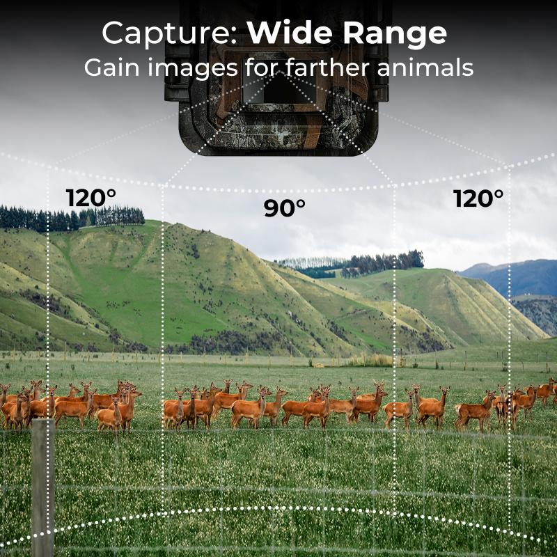 Durability: Resilience of the camera to withstand outdoor conditions.