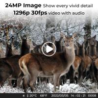 Are Digital Camera Binoculars Any Good ?