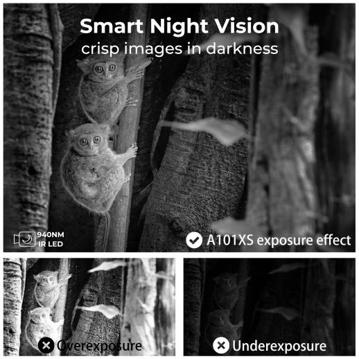 Caméra de Chasse Professionnel Vision nocturne 24MP * 1296P - K&F Concept