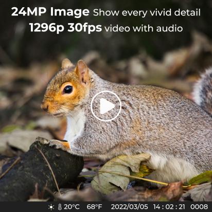 How To Check Over A Digital Camera Sensor ?