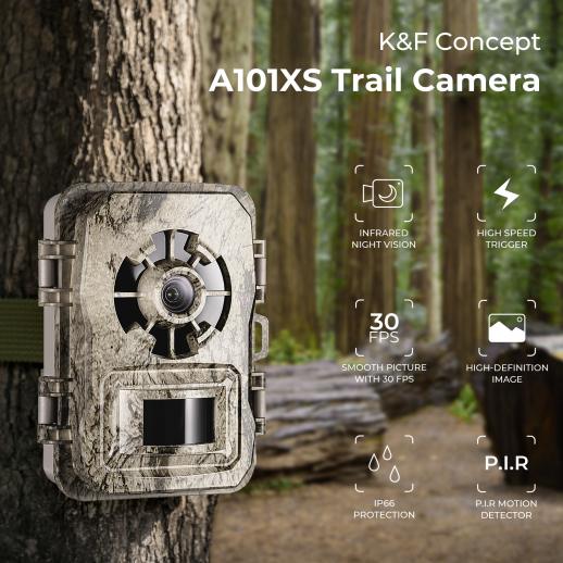 La caméra de chasse comme caméra de surveillance pour la sécurité de l –  BlazeVideo France