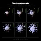 2.7K 16MP Wildlife camera con visione notturna, 0.2S Trigger Trail Camera, telecamera da caccia impermeabile IP66 per la sicurezza domestica e all'aperto+SD TF 3 in 1 Card Reader