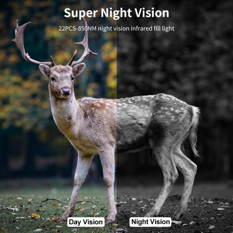 High ISO performance for low-light wildlife photography.