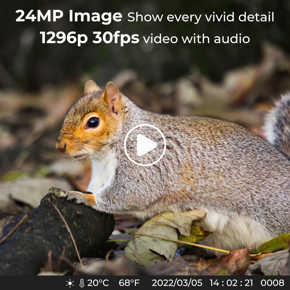 Fotopułapka Kamera Leśna 24MP * 1296P noktowizor, szeroki kąt 120° * 0.2S wyzwalacz 2-calowy ekran polowania kamera kolor kory + karta pamięci 32G