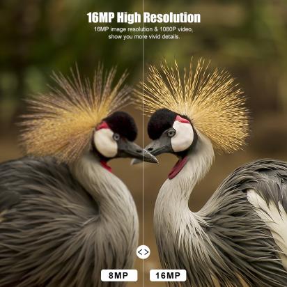 Come Occultare Una Videocamera ?