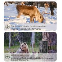 What Camera Mode For Wildlife Photography ?