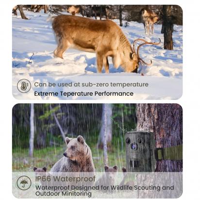 What Camera Mode For Wildlife Photography ?