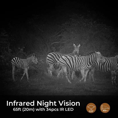 How Long Do The Ring Camera Batteries Last ?