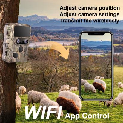 Quelle Est La Meilleure Caméra De Surveillance Fiable?