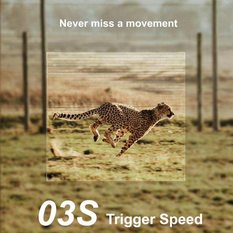 quelle est la meilleure paire de jumelles ? 3