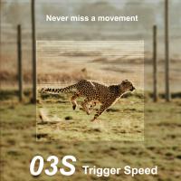 How To Setup Alfred Home Surveillance Camera ?