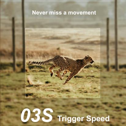 How To Setup Alfred Home Surveillance Camera ?