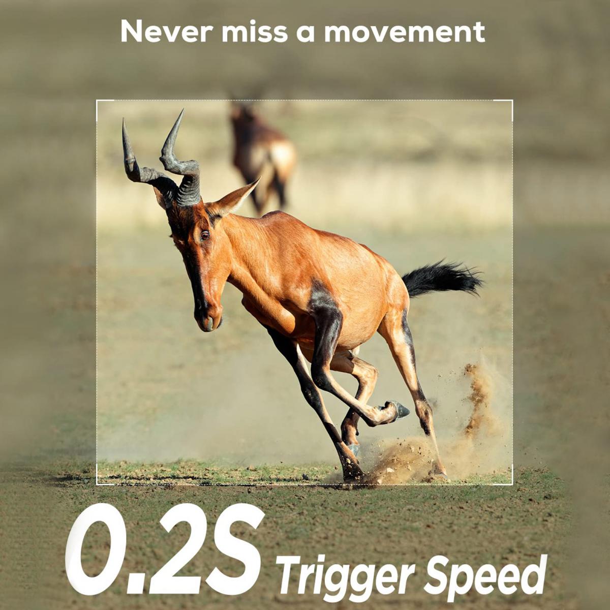 1/4 mile long range hunting camera with wireless alarm with battery and 64G card K&F Concept