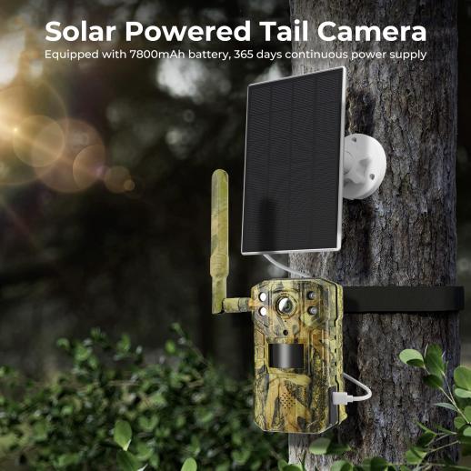 Cámara de Caza Solar 2K 4G SIM inalámbrica para cámara de vigilancia de  Fauna y Flora, Impermeable, Nocturna y en Color, con detección de Humanos y  Animales al Aire Libre Exterior 