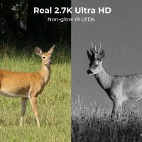 Which Is Best Infrared Wildlife Camera In Uk ?
