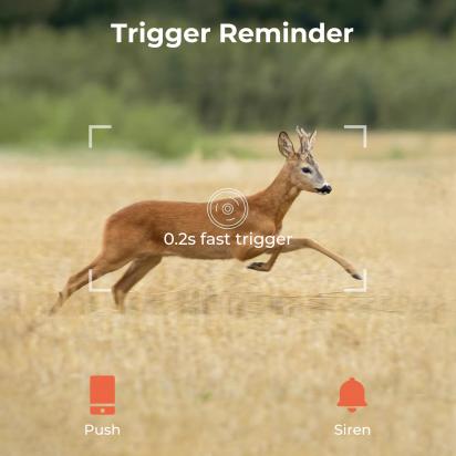 What Security Camera Records 24 7 ?