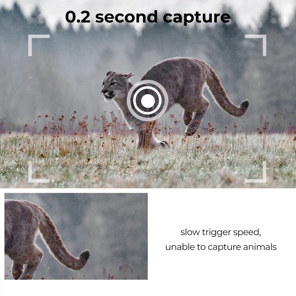 24MP*1296P night vision, 120° wide angle*0.2S trigger 2" screen hunting camera in white rock with AA alkaline battery and 64G high speed SD card