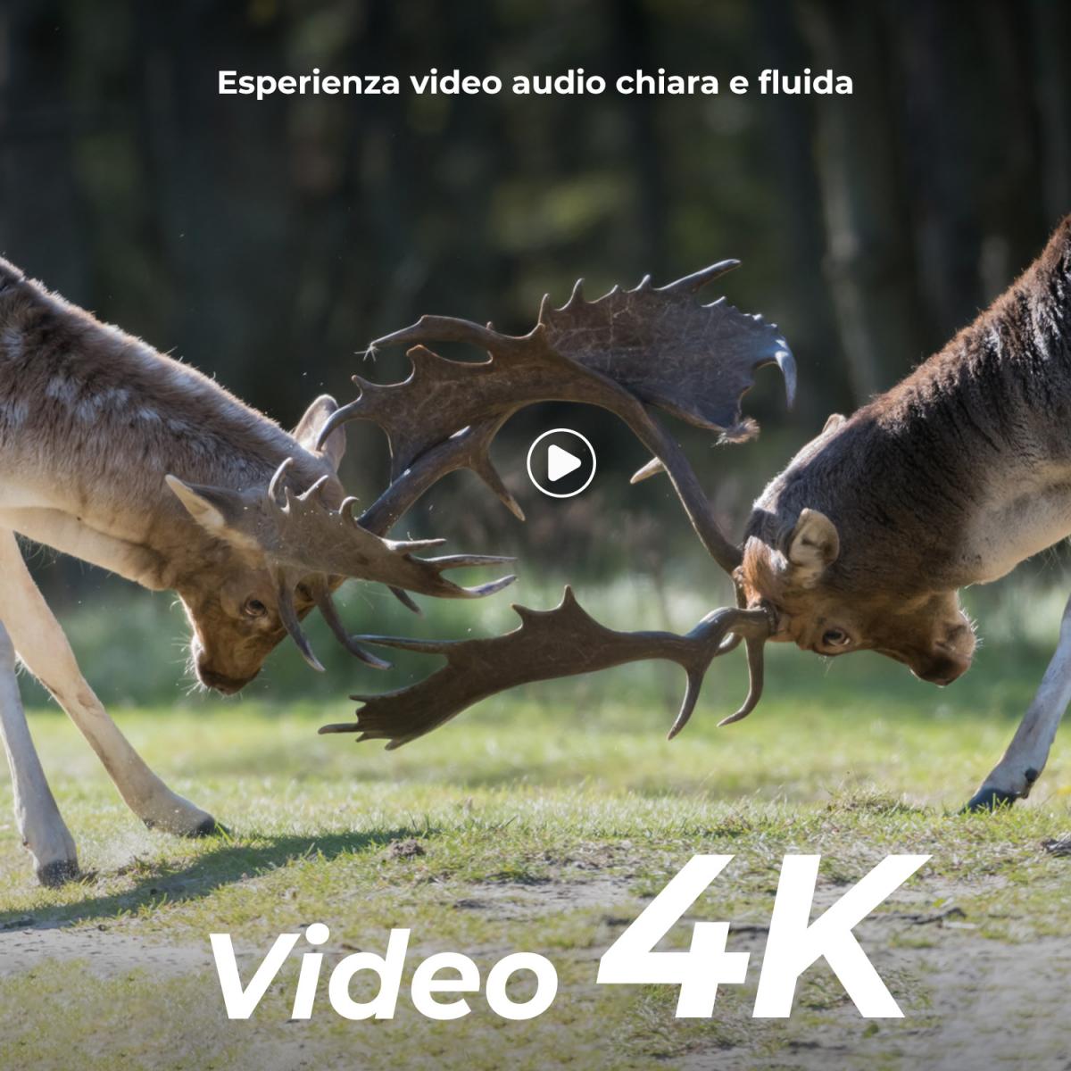4K 48MP Wildlife Camera con sensore di movimento Visione notturna Obiettivo grandangolare 0.2s Trigger Speed 2s Intervallo PIR IP66 Impermeabile con scheda SD da 64 GB e 8 batterie AA Bark Color
