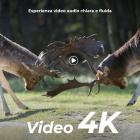 4K 48MP Wildlife Camera con sensore di movimento Visione notturna Obiettivo grandangolare 0.2s Trigger Speed 2s Intervallo PIR IP66 Impermeabile con scheda SD da 64 GB e 8 batterie AA Bark Color