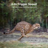 Dslr Vs Digital Camera Which Is Better ?