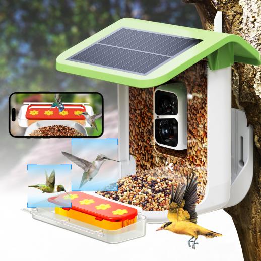 Mangeoire à oiseaux avec panneau solaire, caméra vidéo, WiFi