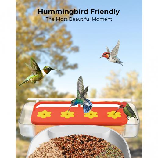 K&F Concept Hummingbird Feeder