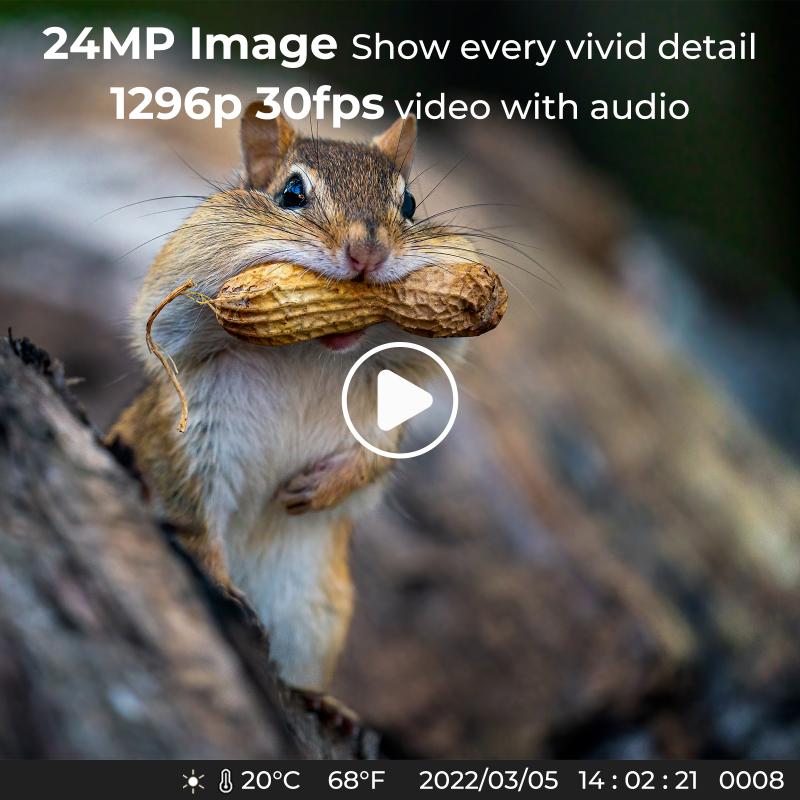 Full HD-Auflösung (1080p)