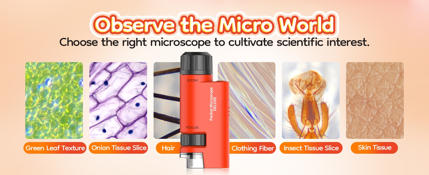 Mini Microscopio tascabile, 60x-120x Microscopio portatile LED Illuminato  Zoom - K&F Concept