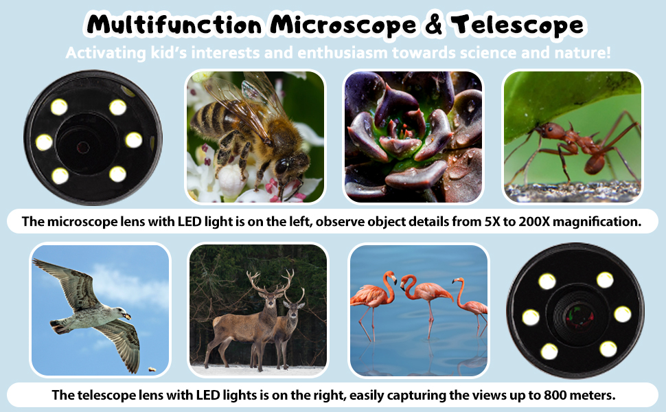 Microscopio para Niños - Deliganga