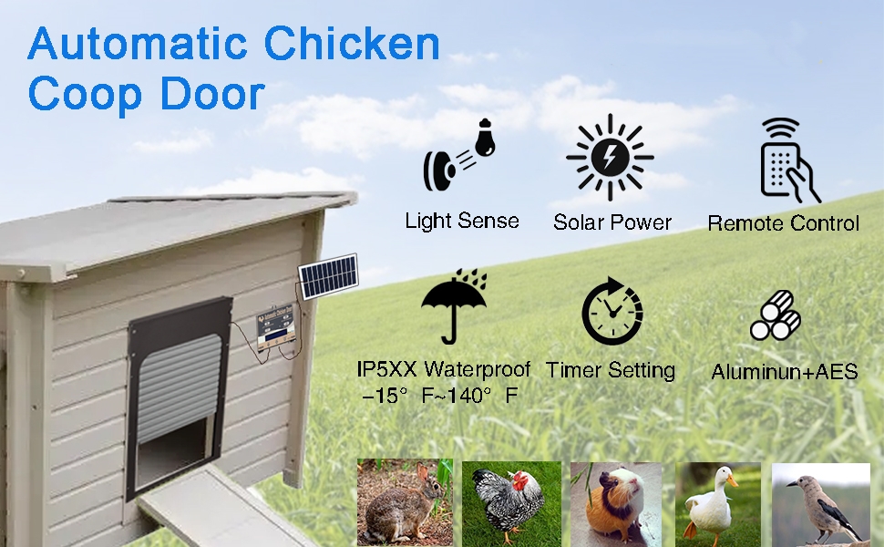 Porta automatica del pollaio, porta del pollaio alimentata solare, con  timer e sensore di luce, tutta la porta del pollaio multimodale resistente  alle intemperie in alluminio, con design anti pizzicore - K&F